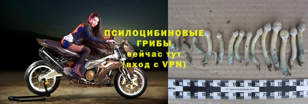 ALPHA-PVP Михайлов