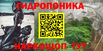 кокс Гагарин