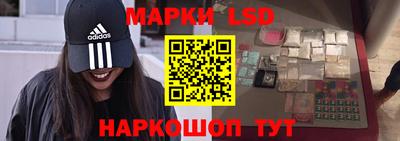 spice Гатчина
