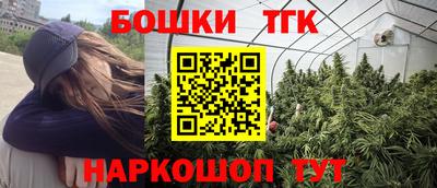 spice Гатчина