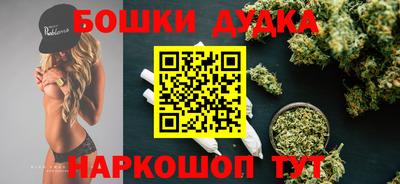 spice Гатчина