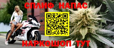 spice Гатчина