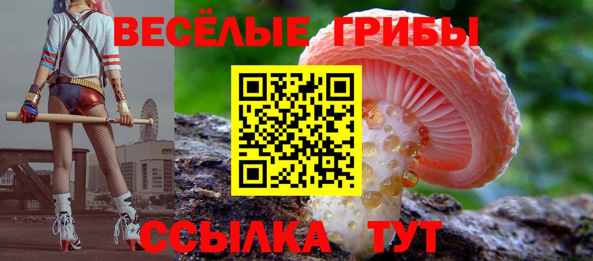 Елизово  Псилоцибиновые грибы мухоморы  Вход с VPN  Псилоцибиновые грибы прущие грибы 