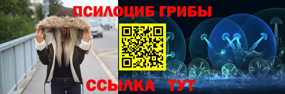 Псилоцибиновые грибы Psilocybine cubensis Елизово