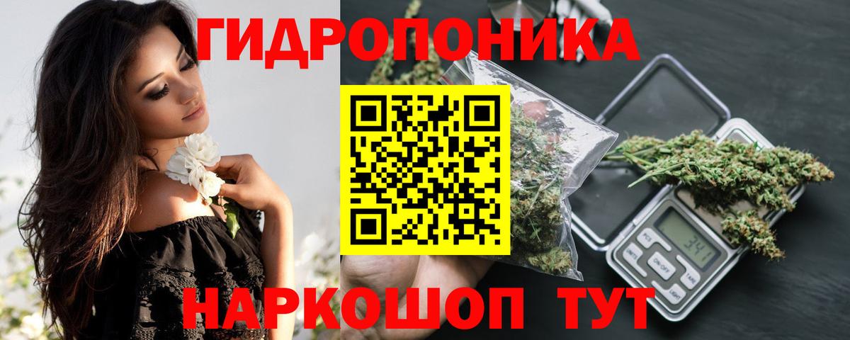 Шишки марихуана Ganja  Вход с VPN  Елизово  Шишки марихуана марихуана  Конопля MAZAR 